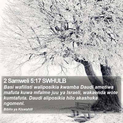 2 Samweli 5:17 SWHULB Bible Verse Image