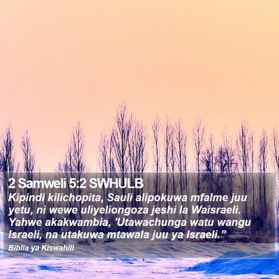 2 Samweli 5:2 SWHULB Bible Verse Image