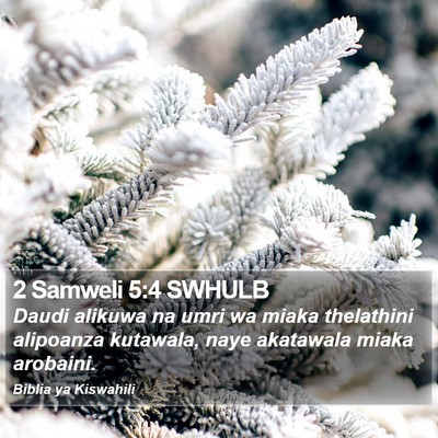 2 Samweli 5:4 SWHULB Bible Verse Image