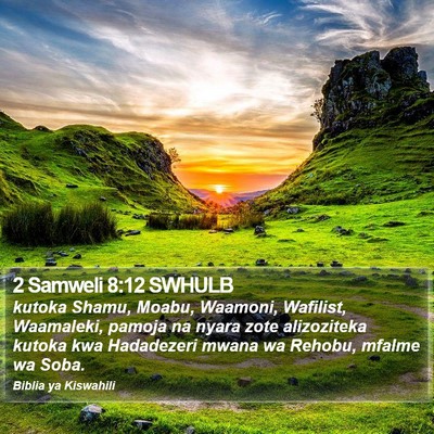 2 Samweli 8:12 SWHULB Bible Verse Image
