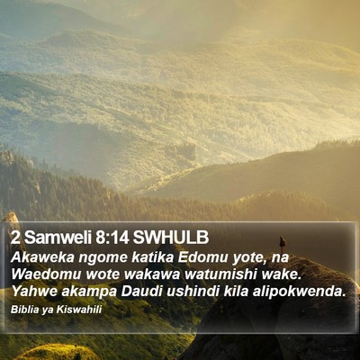 2 Samweli 8:14 SWHULB Bible Verse Image