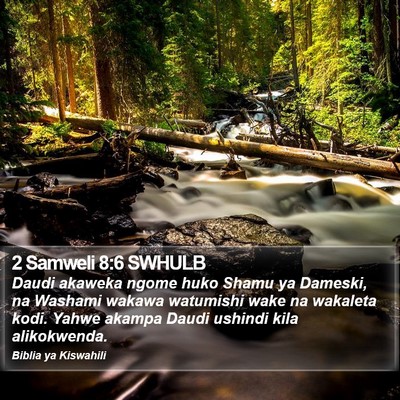 2 Samweli 8:6 SWHULB Bible Verse Image