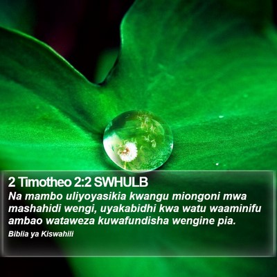 2 Timotheo 2:2 SWHULB Bible Verse Image