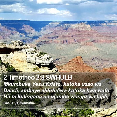 2 Timotheo 2:8 SWHULB Bible Verse Image
