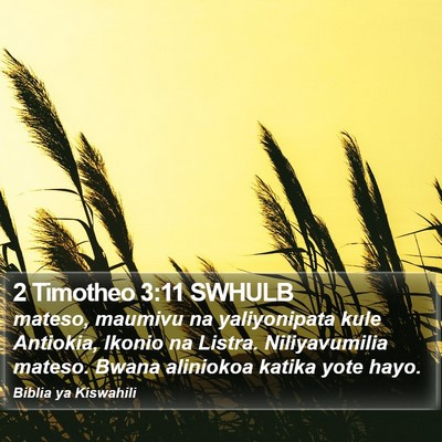 2 Timotheo 3:11 SWHULB Bible Verse Image