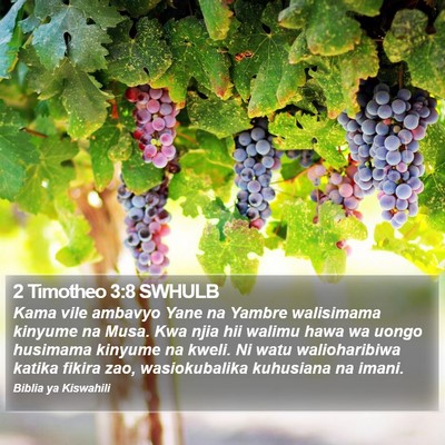 2 Timotheo 3:8 SWHULB Bible Verse Image