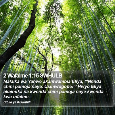 2 Wafalme 1:15 SWHULB Bible Verse Image