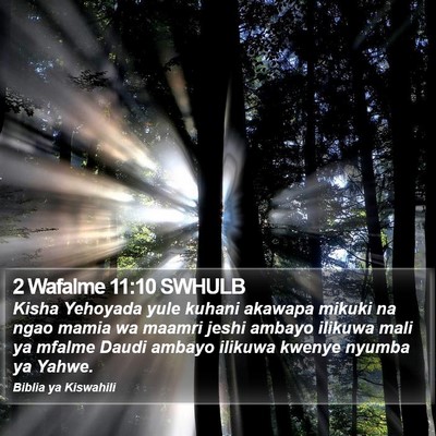 2 Wafalme 11:10 SWHULB Bible Verse Image