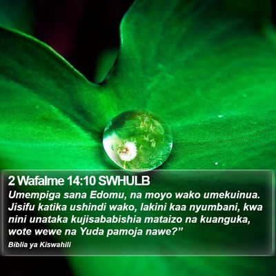 2 Wafalme 14:10 SWHULB Bible Verse Image