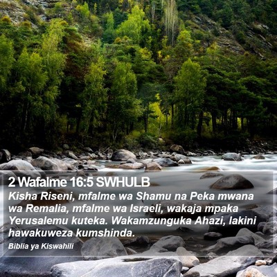 2 Wafalme 16:5 SWHULB Bible Verse Image