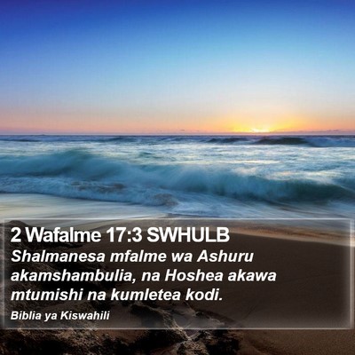 2 Wafalme 17:3 SWHULB Bible Verse Image