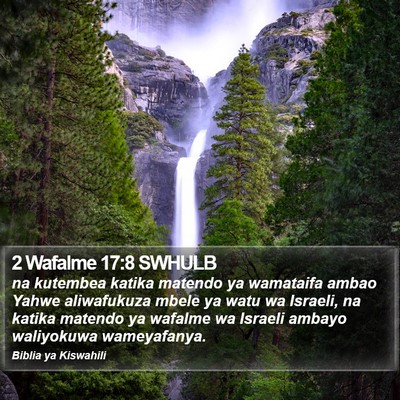 2 Wafalme 17:8 SWHULB Bible Verse Image