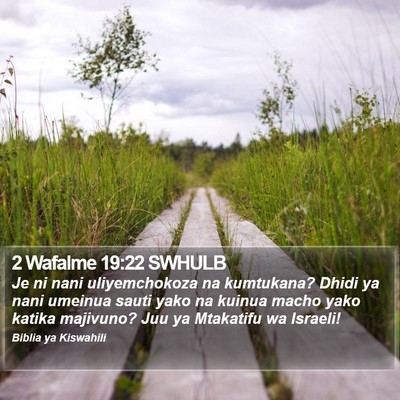 2 Wafalme 19:22 SWHULB Bible Verse Image