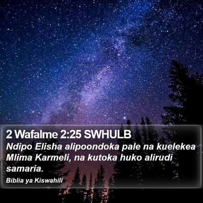 2 Wafalme 2:25 SWHULB Bible Verse Image