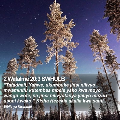 2 Wafalme 20:3 SWHULB Bible Verse Image