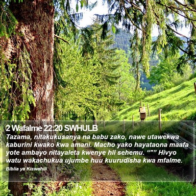 2 Wafalme 22:20 SWHULB Bible Verse Image