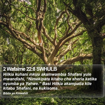 2 Wafalme 22:8 SWHULB Bible Verse Image