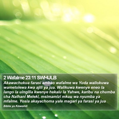 2 Wafalme 23:11 SWHULB Bible Verse Image