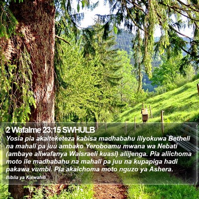 2 Wafalme 23:15 SWHULB Bible Verse Image