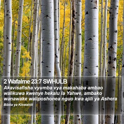 2 Wafalme 23:7 SWHULB Bible Verse Image