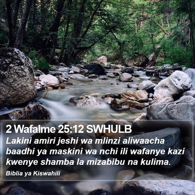 2 Wafalme 25:12 SWHULB Bible Verse Image