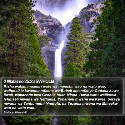 2 Wafalme 25:23 SWHULB Bible Verse Image