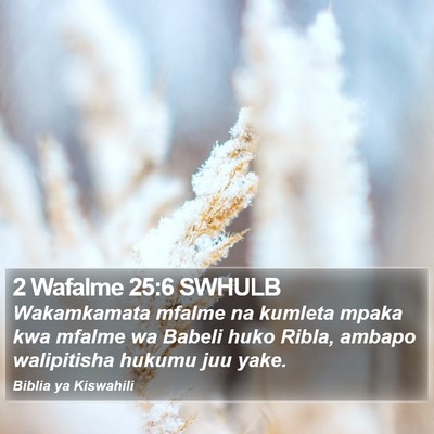 2 Wafalme 25:6 SWHULB Bible Verse Image