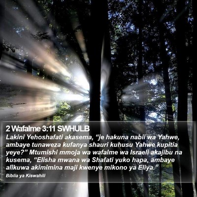 2 Wafalme 3:11 SWHULB Bible Verse Image