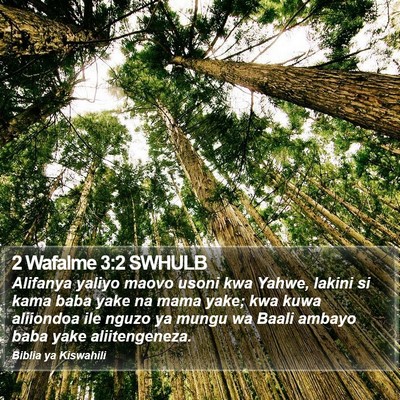 2 Wafalme 3:2 SWHULB Bible Verse Image