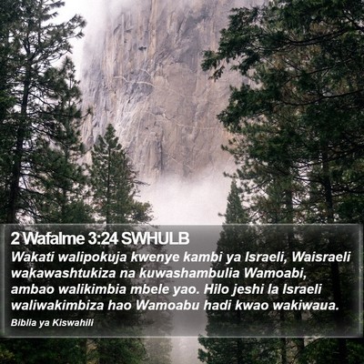 2 Wafalme 3:24 SWHULB Bible Verse Image