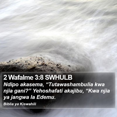 2 Wafalme 3:8 SWHULB Bible Verse Image