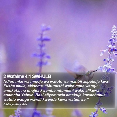 2 Wafalme 4:1 SWHULB Bible Verse Image
