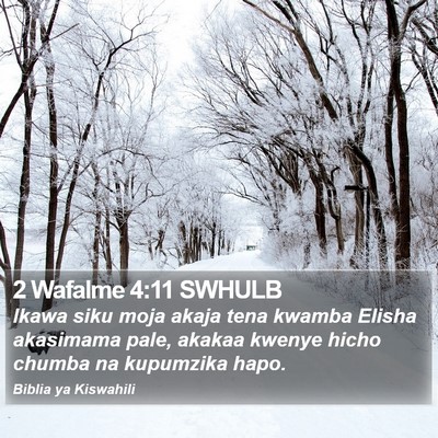 2 Wafalme 4:11 SWHULB Bible Verse Image