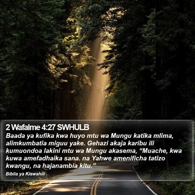 2 Wafalme 4:27 SWHULB Bible Verse Image