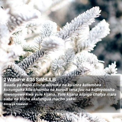 2 Wafalme 4:35 SWHULB Bible Verse Image
