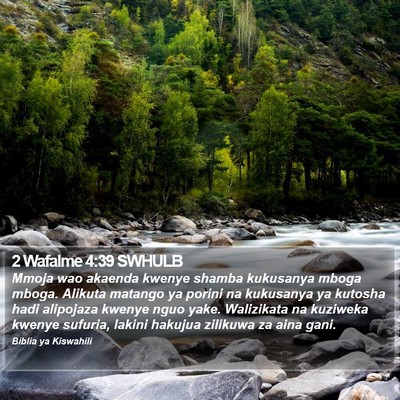 2 Wafalme 4:39 SWHULB Bible Verse Image