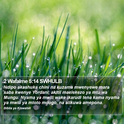 2 Wafalme 5:14 SWHULB Bible Verse Image
