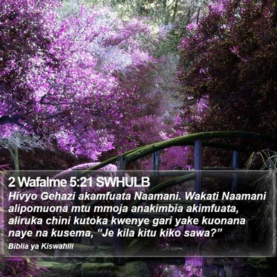 2 Wafalme 5:21 SWHULB Bible Verse Image