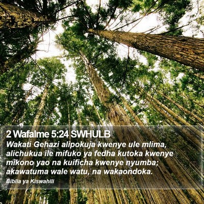 2 Wafalme 5:24 SWHULB Bible Verse Image