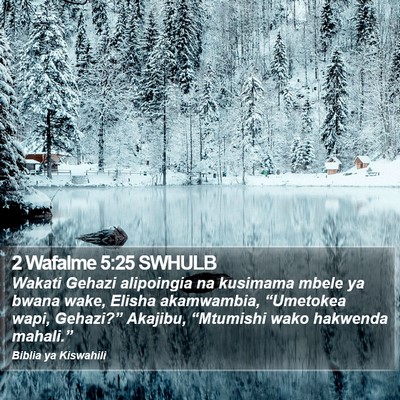 2 Wafalme 5:25 SWHULB Bible Verse Image
