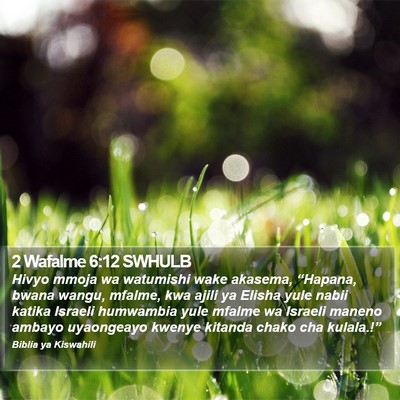 2 Wafalme 6:12 SWHULB Bible Verse Image