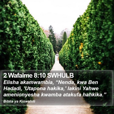 2 Wafalme 8:10 SWHULB Bible Verse Image