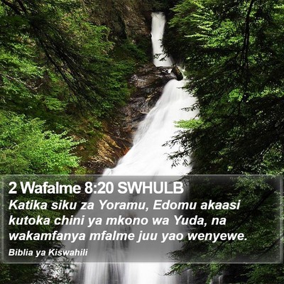 2 Wafalme 8:20 SWHULB Bible Verse Image