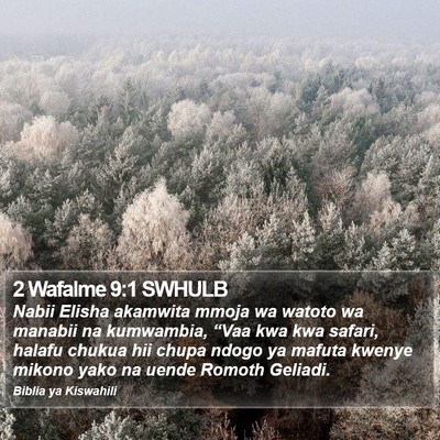 2 Wafalme 9:1 SWHULB Bible Verse Image