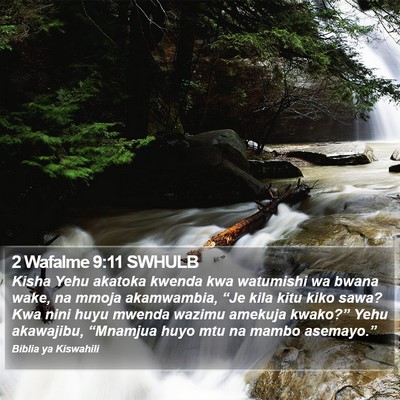 2 Wafalme 9:11 SWHULB Bible Verse Image