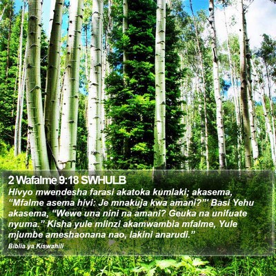 2 Wafalme 9:18 SWHULB Bible Verse Image