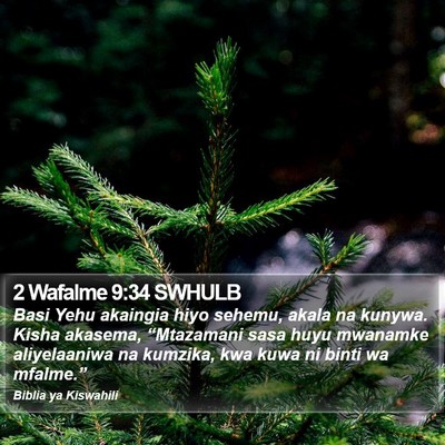 2 Wafalme 9:34 SWHULB Bible Verse Image