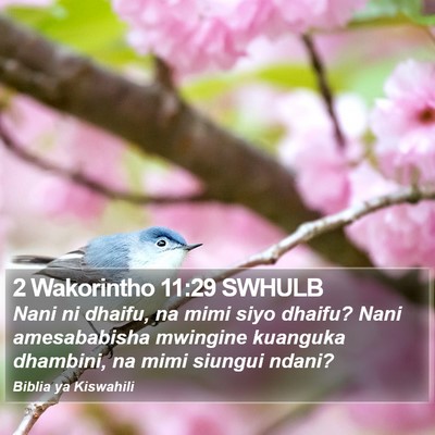 2 Wakorintho 11:29 SWHULB Bible Verse Image
