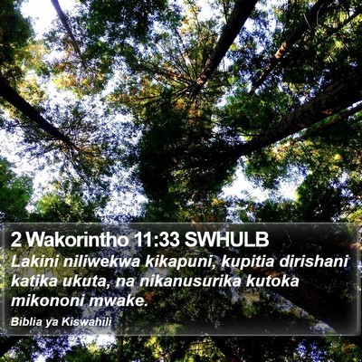 2 Wakorintho 11:33 SWHULB Bible Verse Image