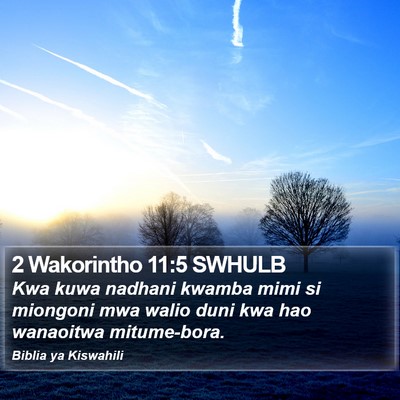 2 Wakorintho 11:5 SWHULB Bible Verse Image